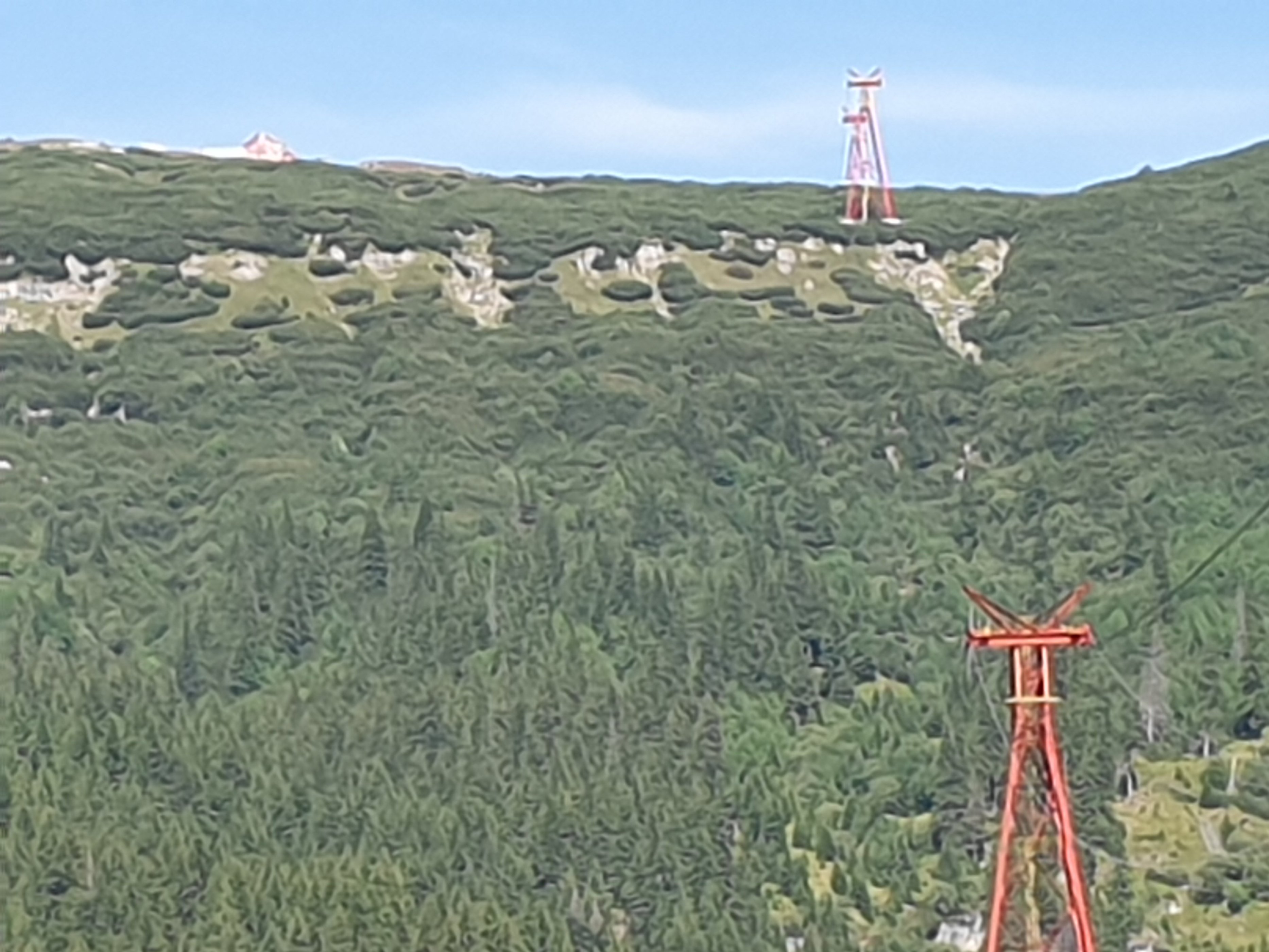20190728_161548.jpg