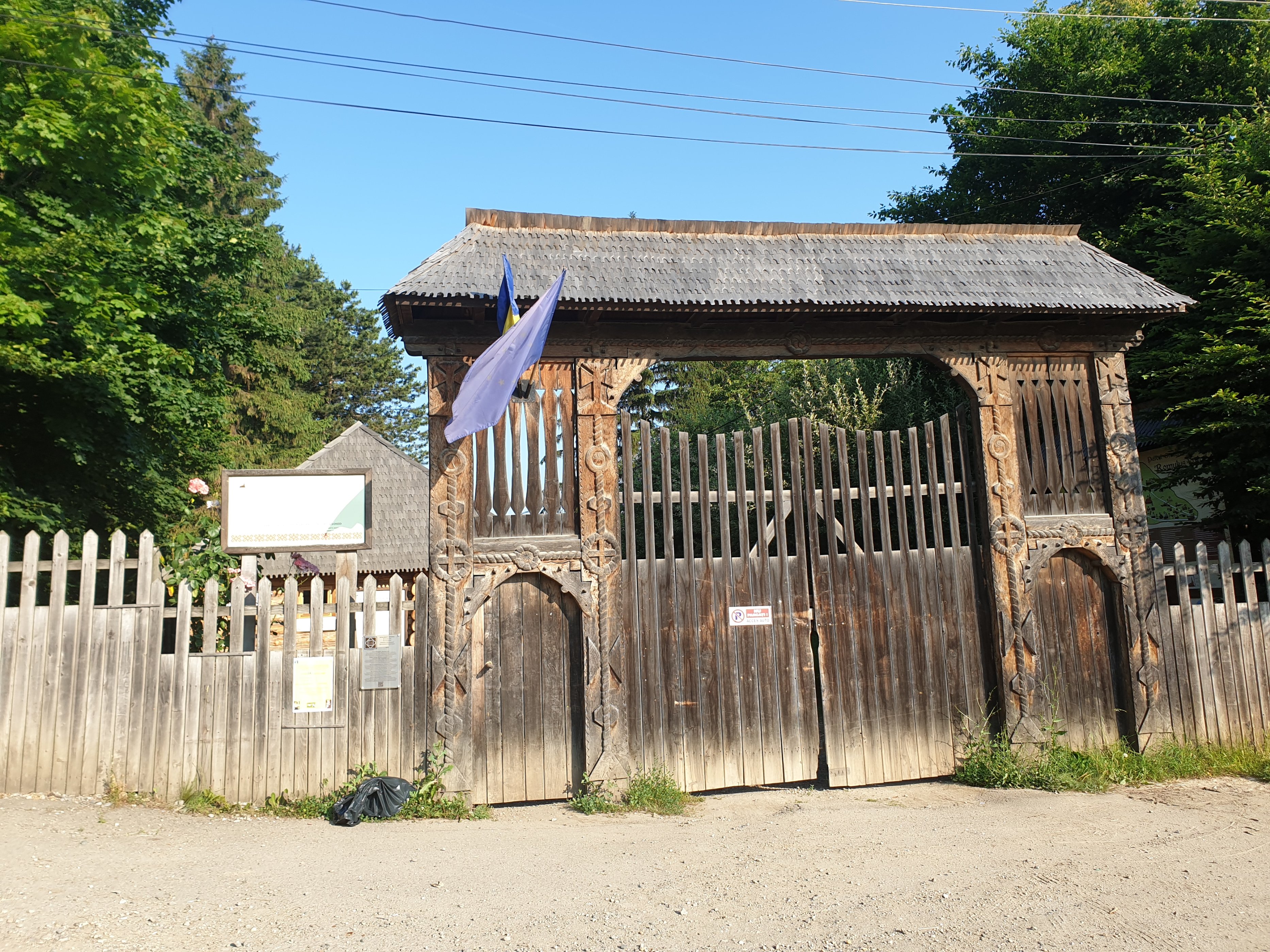 20190622_080812.jpg