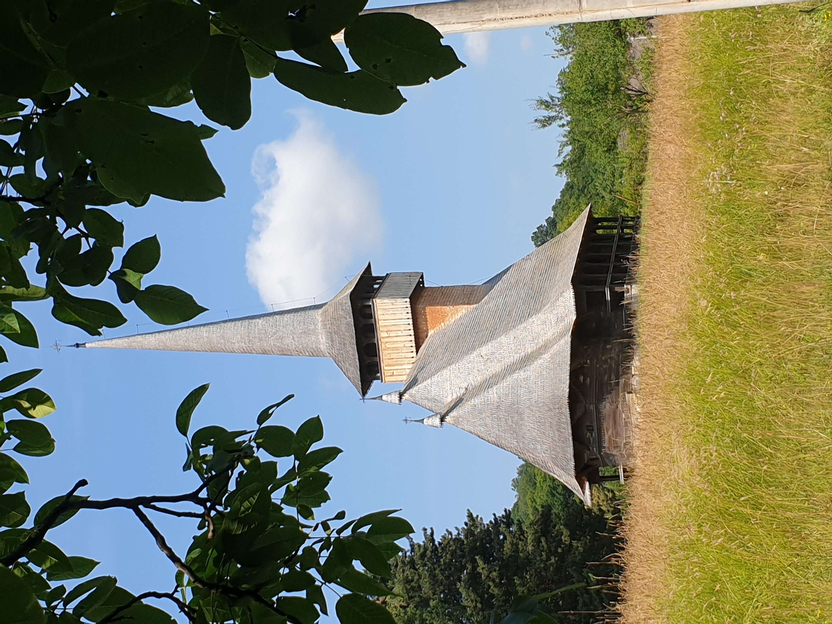 20190622_101817.jpg