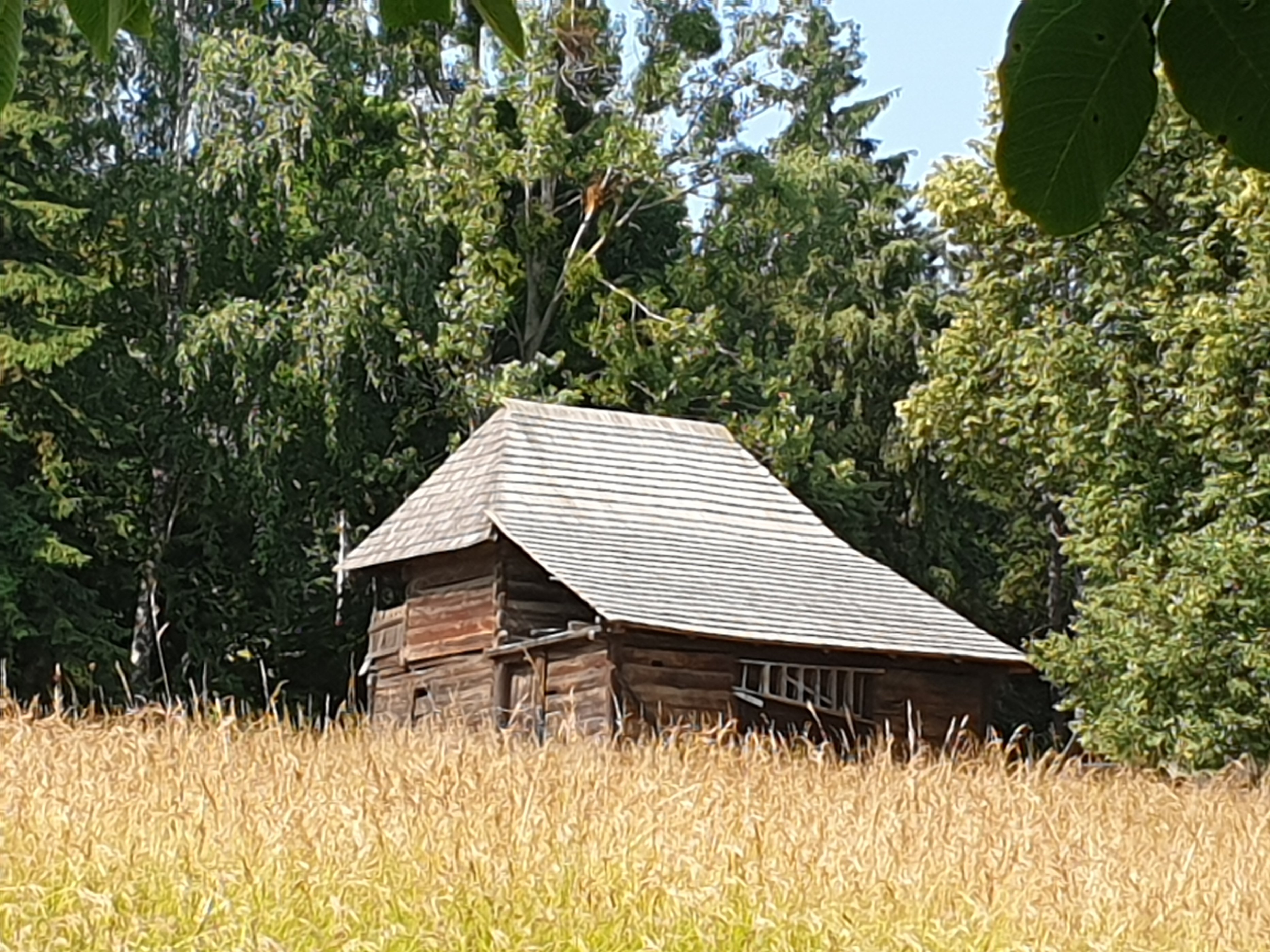 20190622_101825.jpg