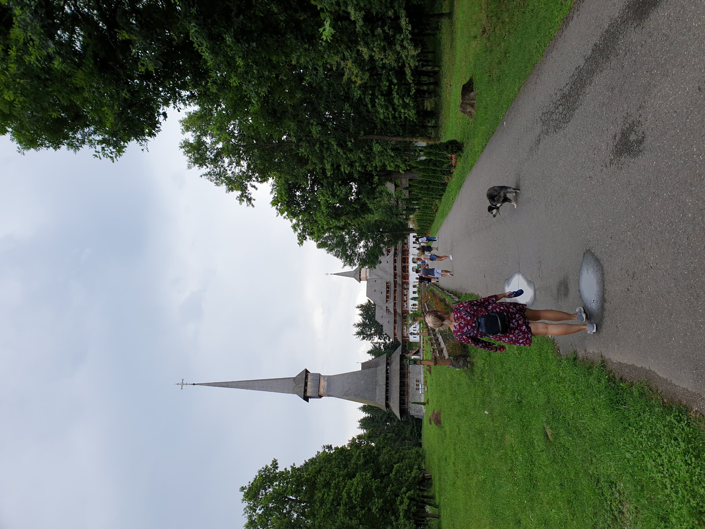 20190623_154558.jpg