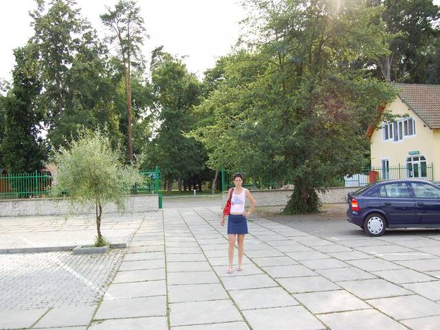 Picture 005 [].jpg