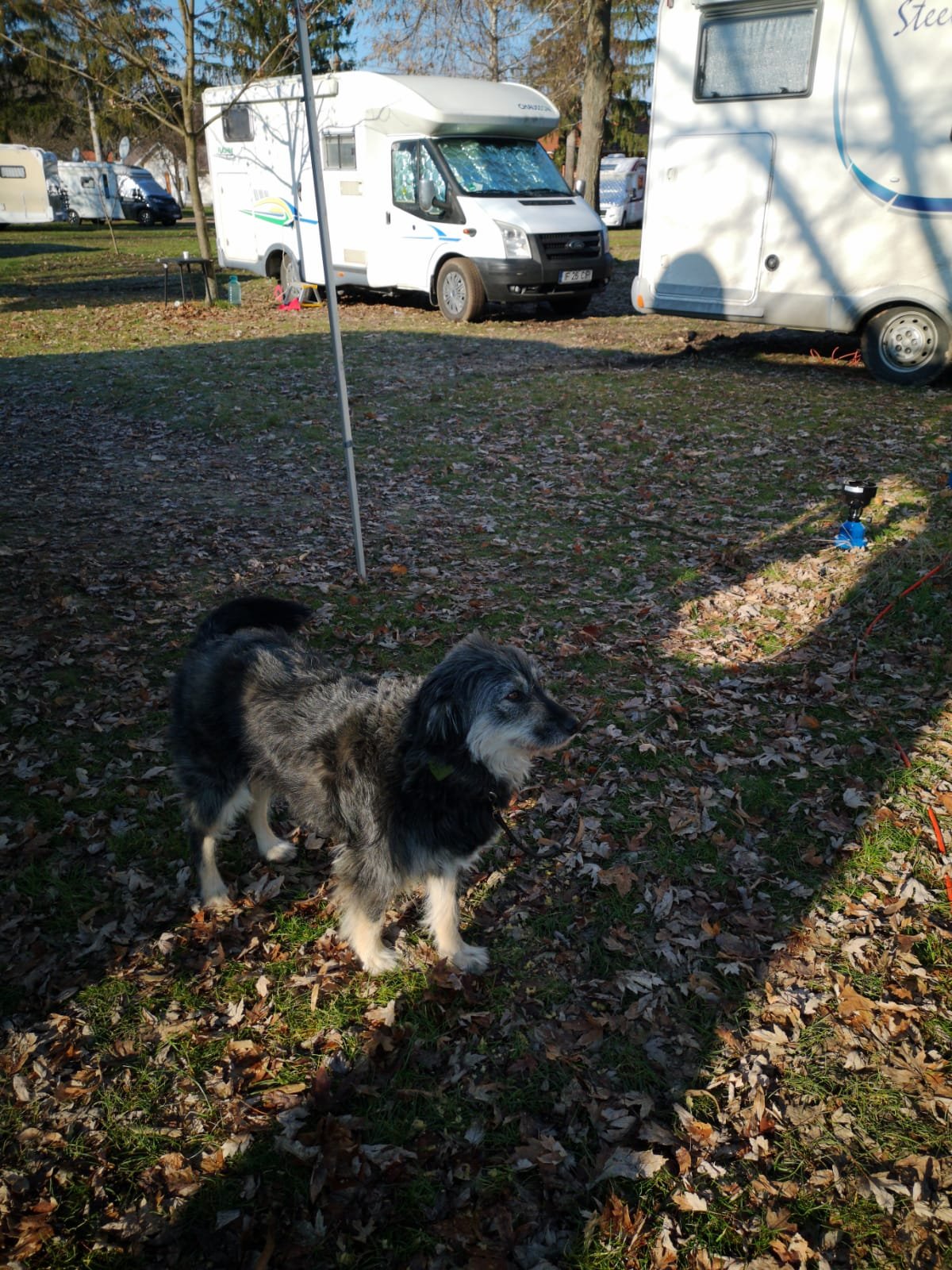 IMG-20191230-WA0029.jpg