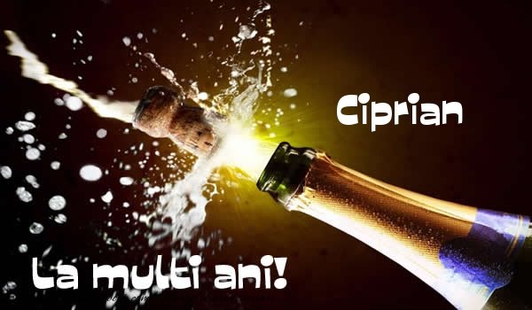 lamultiani-ciprian-67420.jpg