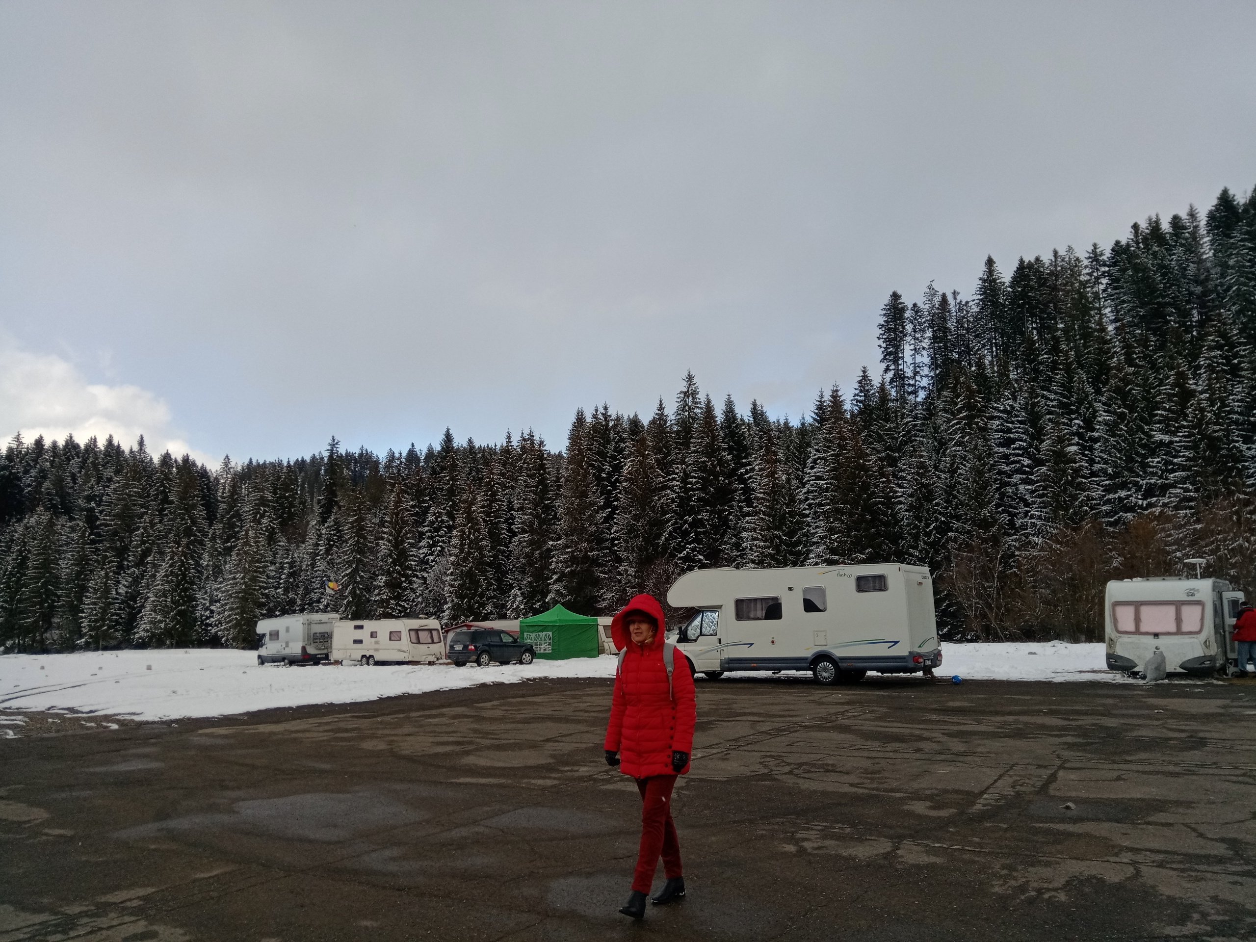 IMG_20210306_141230.jpeg