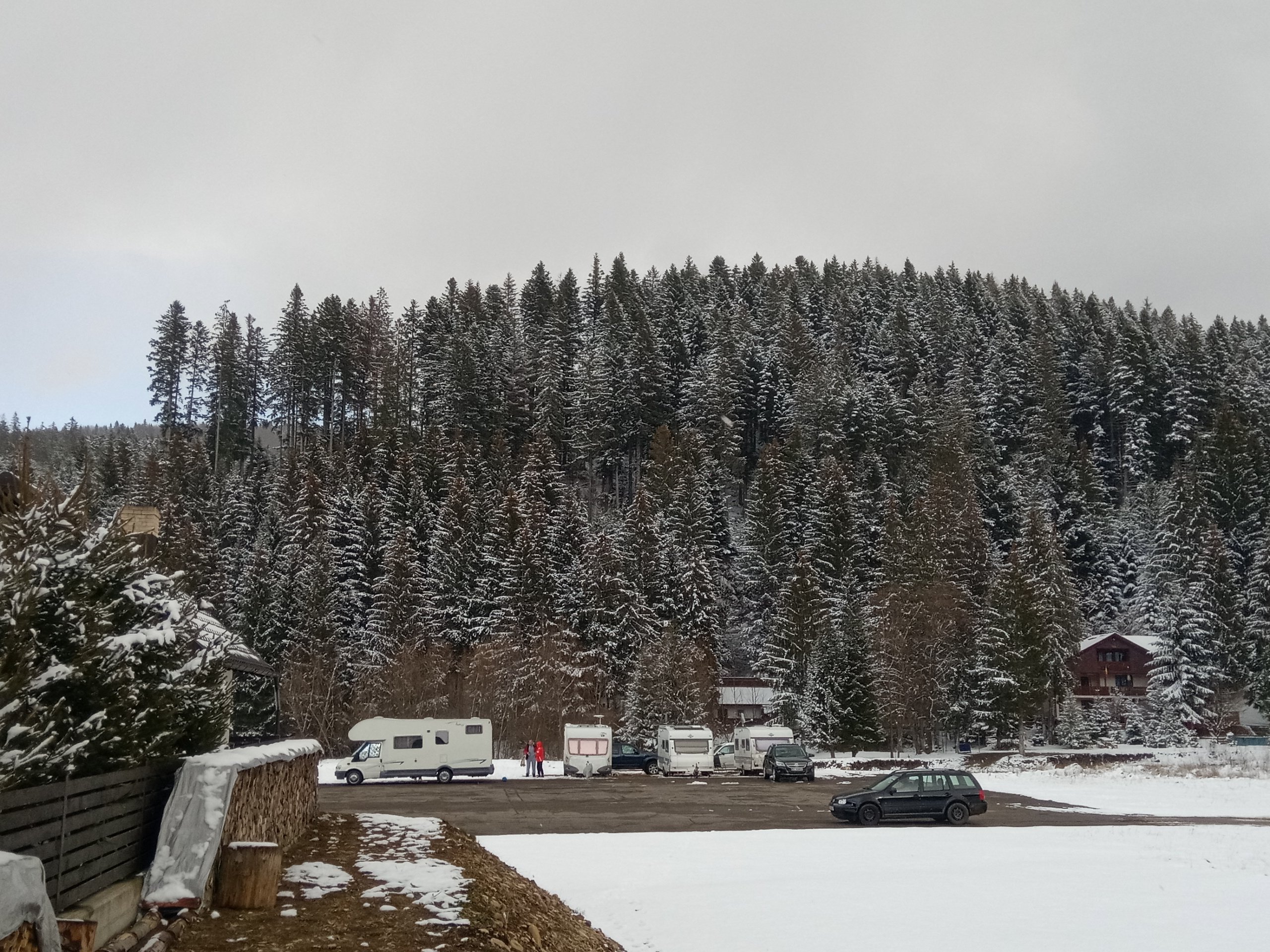 IMG_20210306_141519.jpeg