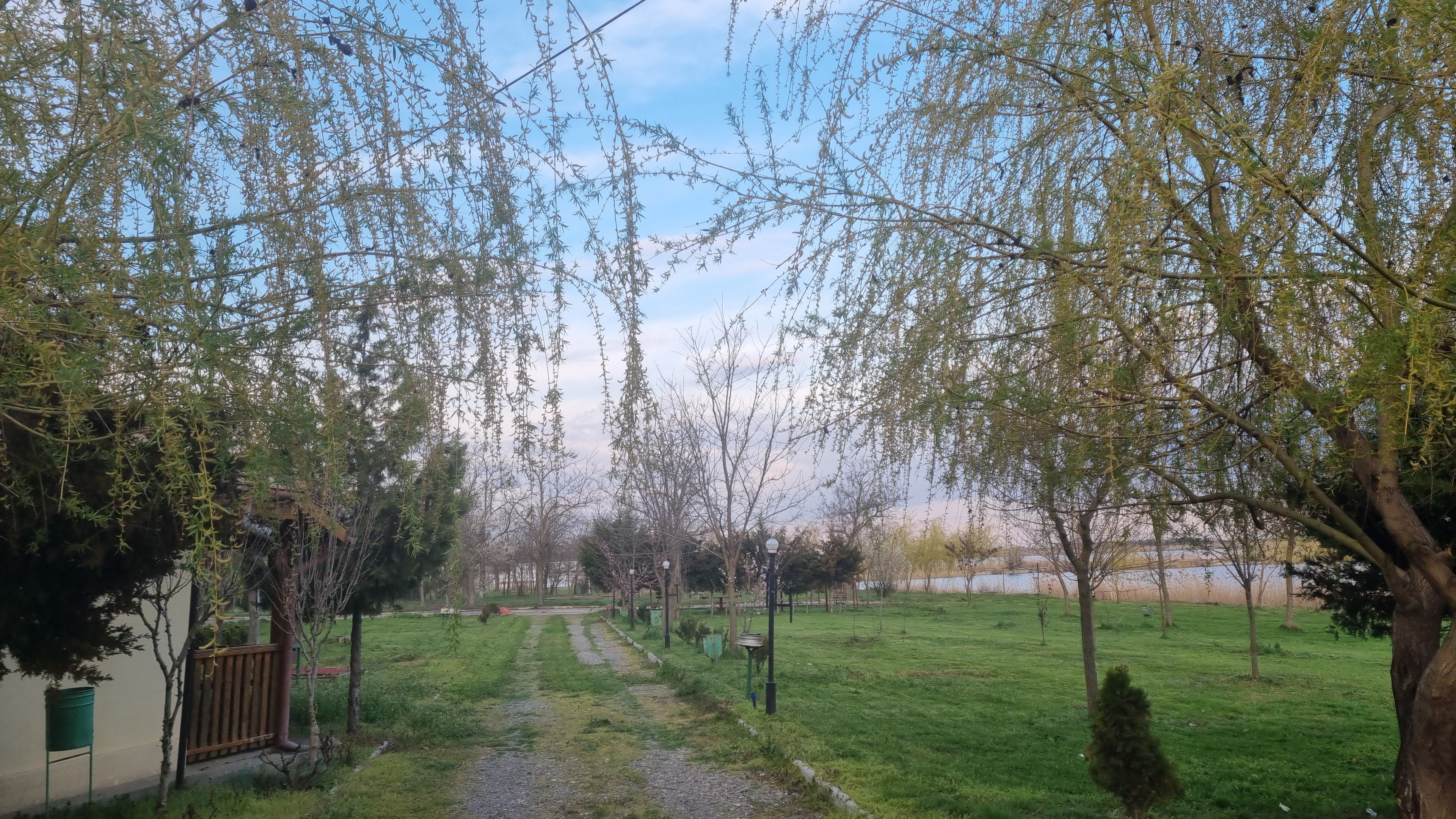 IMG-20210416-WA0008.jpeg