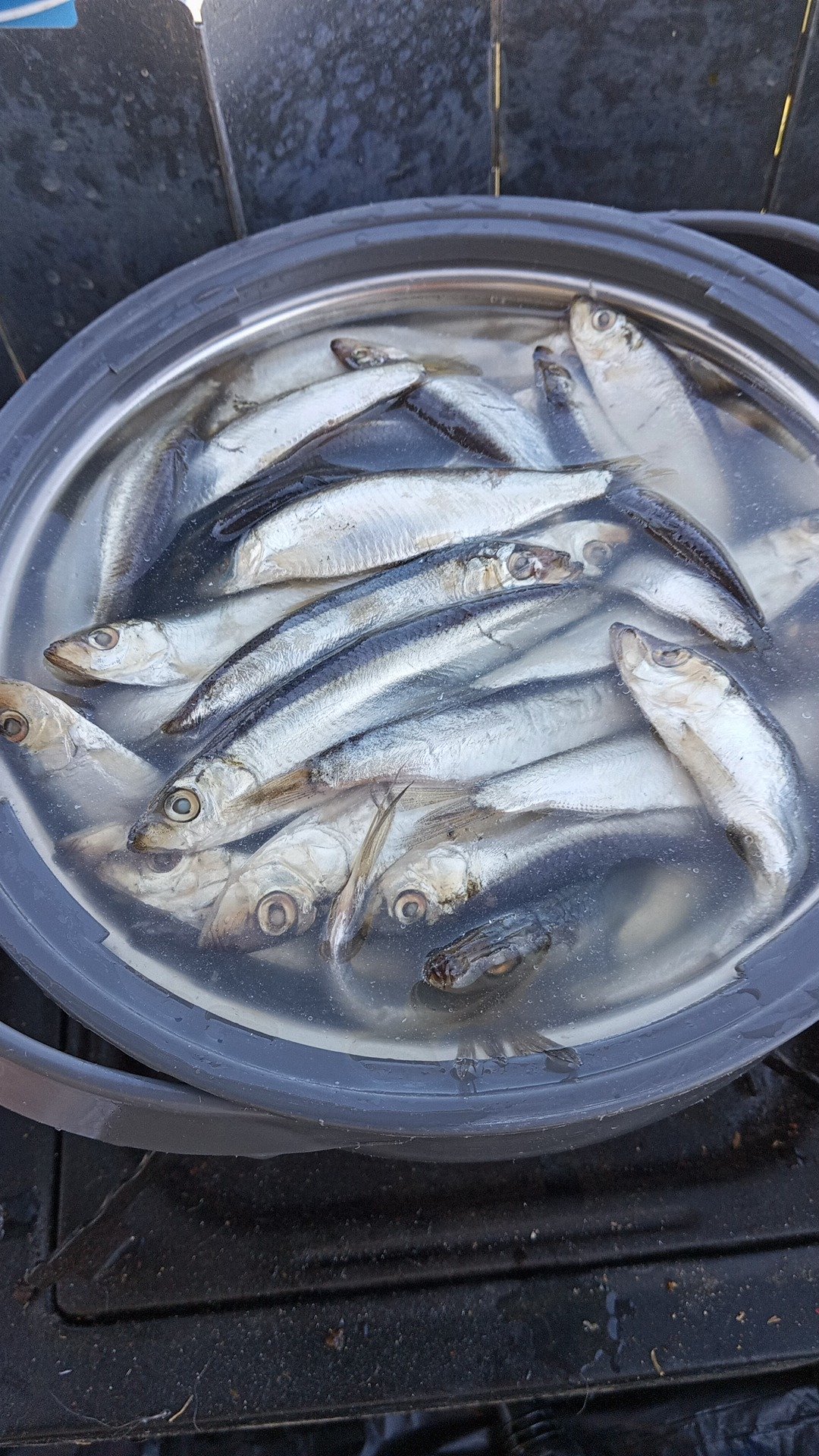 IMG-20250502-WA0028.jpeg