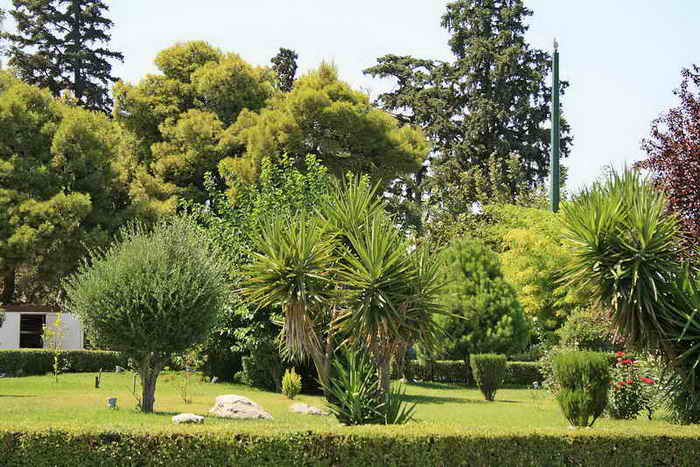 Oaza de verdeata langa Acropolis