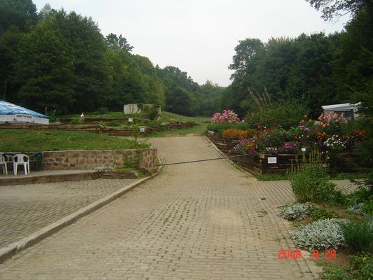 DSC04771 [].JPG