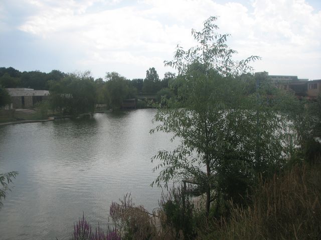 lacul Venus