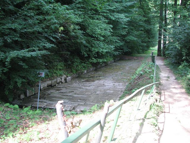 Sarmizegetusa Regia-drumul pavat