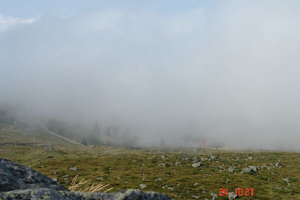 Dsc00091_1.jpg