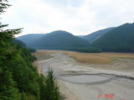 DSC00092_1.jpg