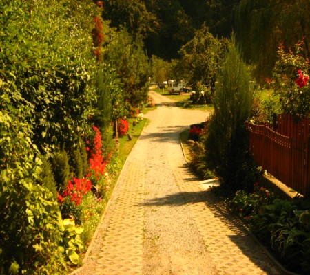 Intrare camping Vasskert Sovata.