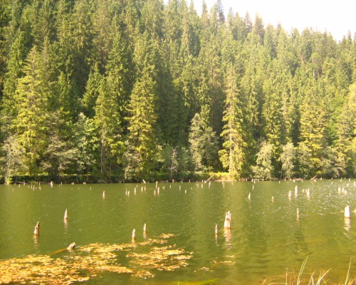 Lacul Rosu.
