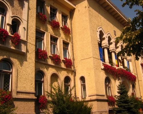 Primaria Tg. Mures (o placere sa vezi respectul aratat florilor).