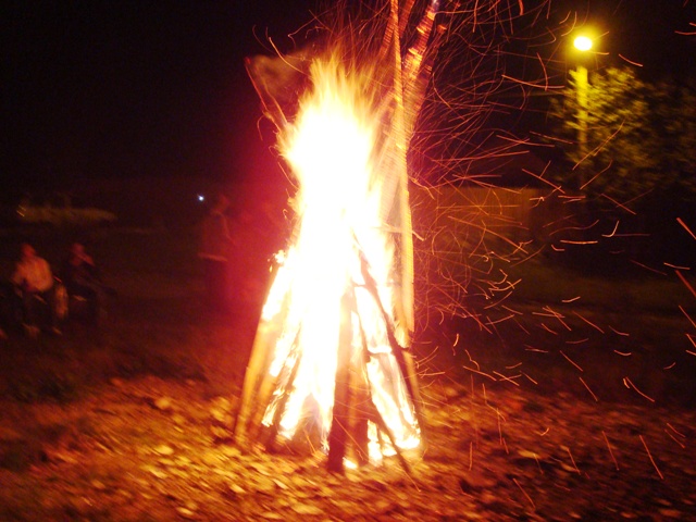 DSC02407.JPG