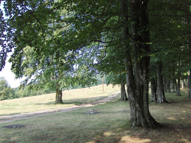 HPIM0116 [640x480].JPG