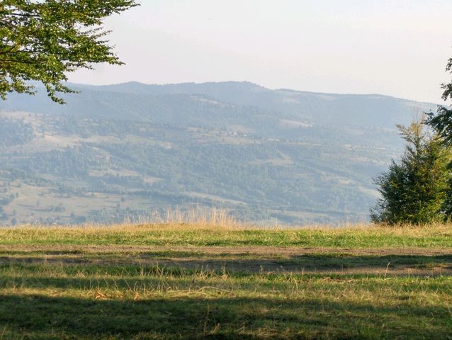 Podisul Transilvaniei [640x480].JPG