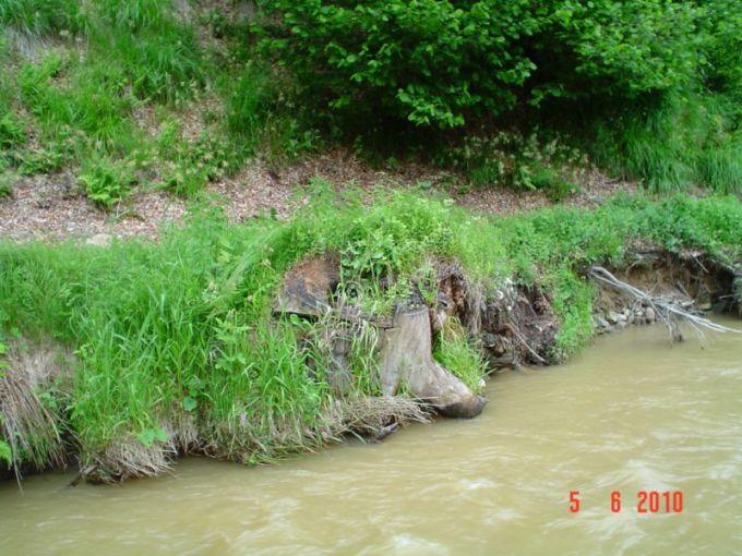 DSC05062 [800x600].JPG
