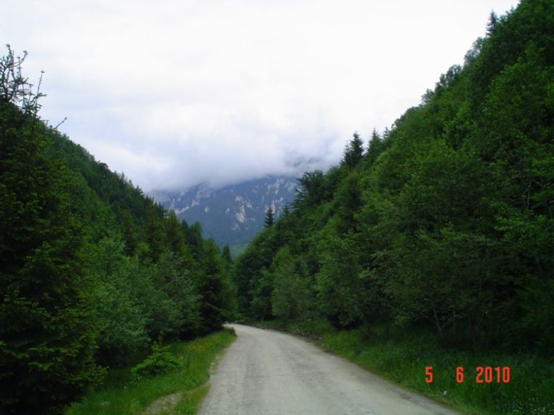 DSC05089 [800x600].JPG