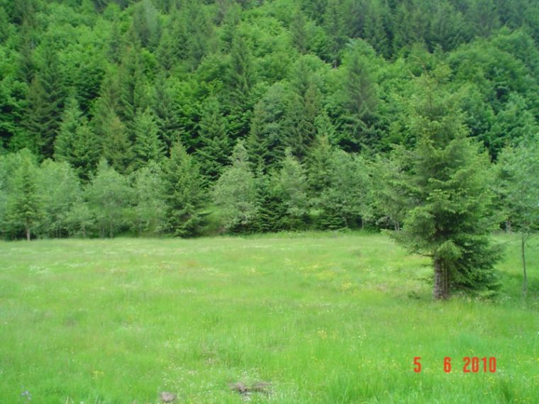 DSC05095 [800x600].JPG