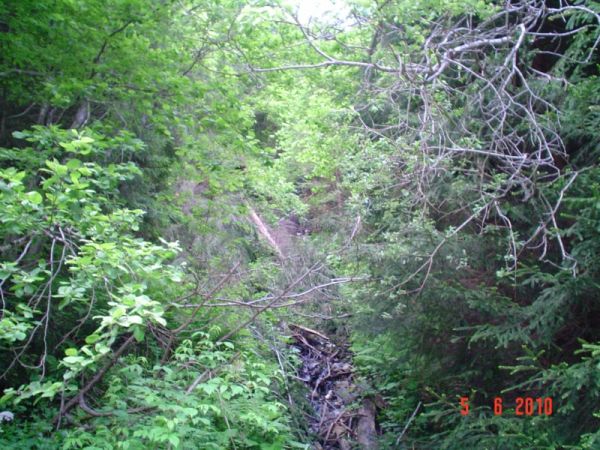DSC05113 [800x600].JPG