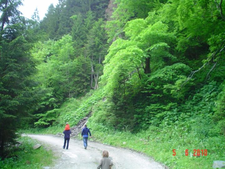 DSC05115 [800x600].JPG