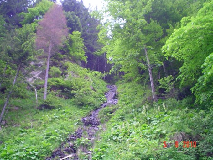 DSC05117 [800x600].JPG