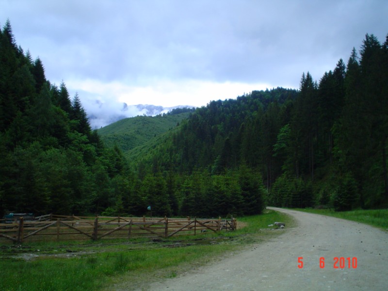 DSC05126 [800x600].JPG