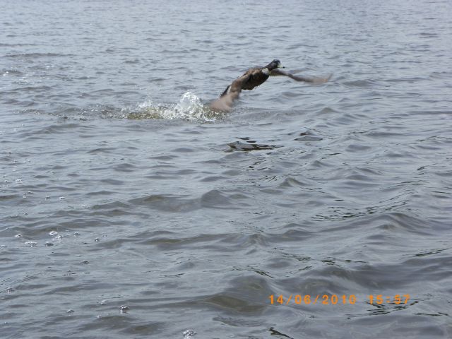 Concediu Iunie 2010 171.jpg