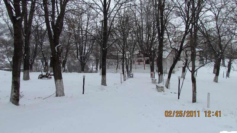 IMG_0966.jpg