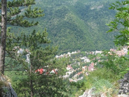 concediu_2011 1130_800x600_600x450_500x375.jpg