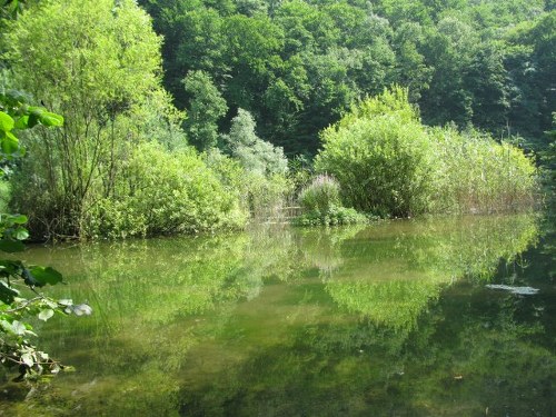 Laguna verde-albastra