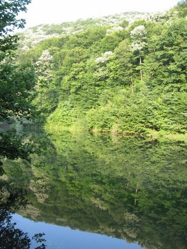 concediu_2011 1240_450x600_375x500.jpg