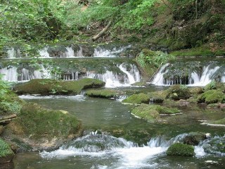 concediu_2011 1246_600x450_320x240.jpg
