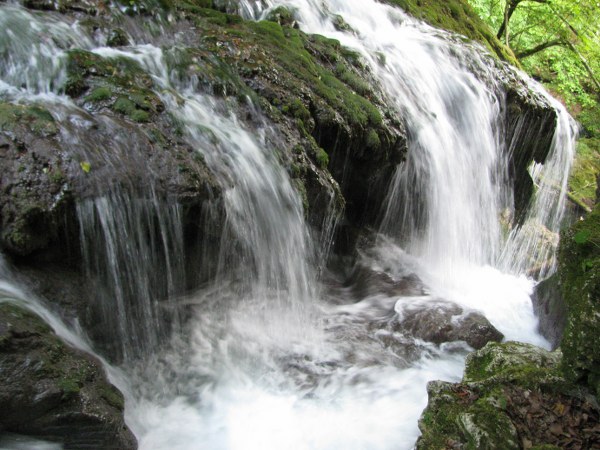 concediu_2011 1258_600x450.jpg