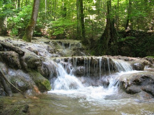 concediu_2011 1323_600x450_500x375.jpg