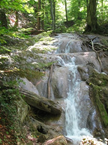 concediu_2011 1327_450x600_375x500.jpg