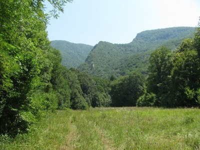 concediu_2011 1332_600x450_600x450_400x300.jpg