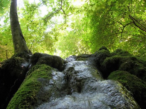 concediu_2011 1346_600x450_500x375.jpg