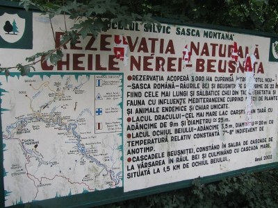 concediu_2011 1391_600x450_600x450_400x300.jpg