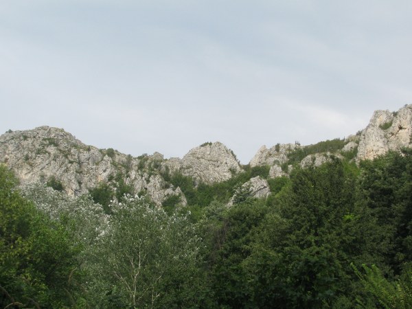concediu_2011 1409_600x450.jpg