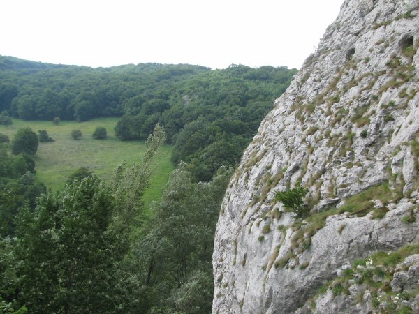 concediu_2011 1423_600x450.jpg