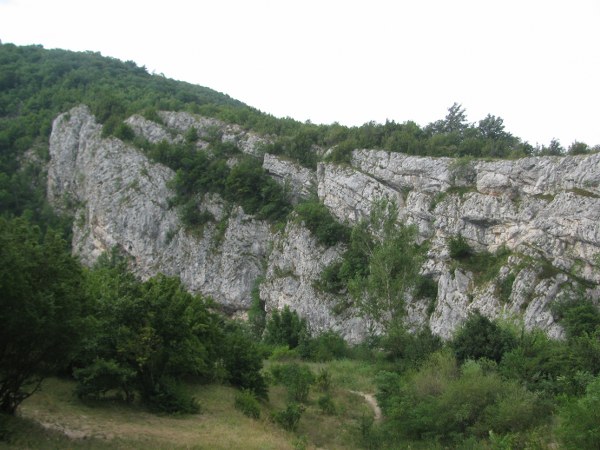 concediu_2011 1428_600x450.jpg