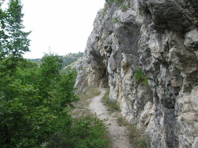 concediu_2011 1437_600x450_600x450_400x300.jpg