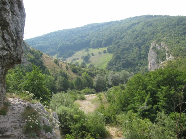 concediu_2011 1470_600x450.jpg