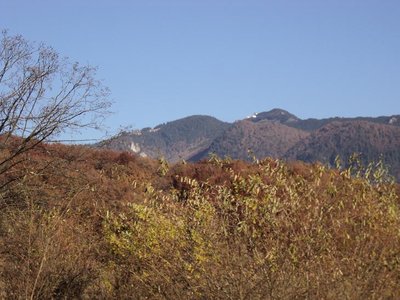 DSC00976.JPG