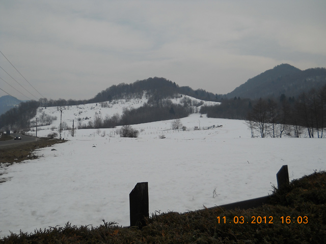 poza-2.jpg